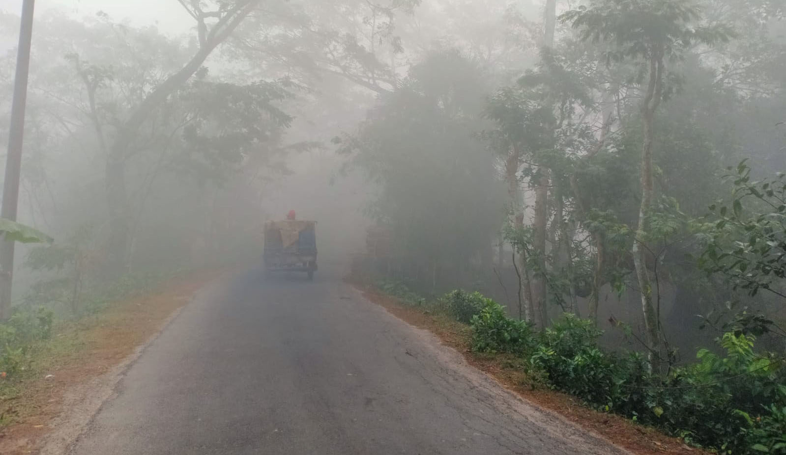 তীব্র শীত ও ঘন কুয়াশায় গোপালগঞ্জের জনজীবনে দুর্ভোগ