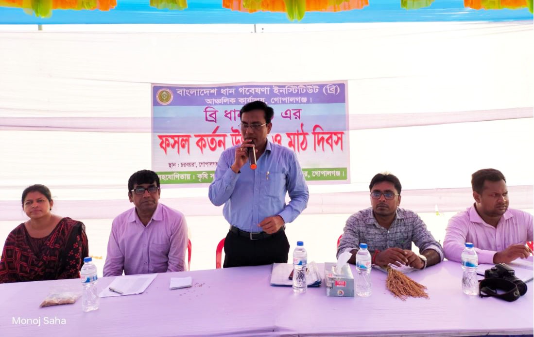 নতুন উদ্ভাবিত ব্রি ধান ১০১ হেক্টরে ৭.৫৬ টন উৎপাদন