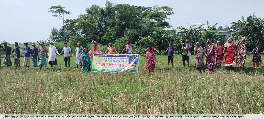 তিন ফসলি জমি রক্ষায় কোটালীপাড়ায় কৃষকদের মানববন্ধন