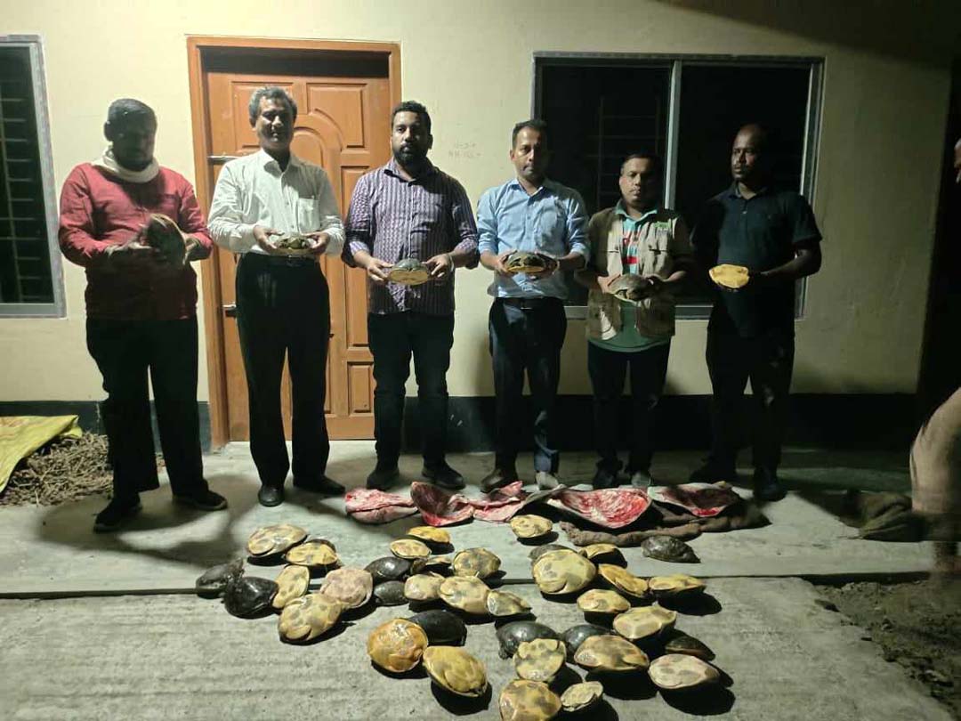 গোপালগঞ্জে বিক্রিকালে অভিযান চালিয়ে ৪৮টি কচ্ছপ ও বিপুল পরিমান অতিথিপাখি উদ্ধার!