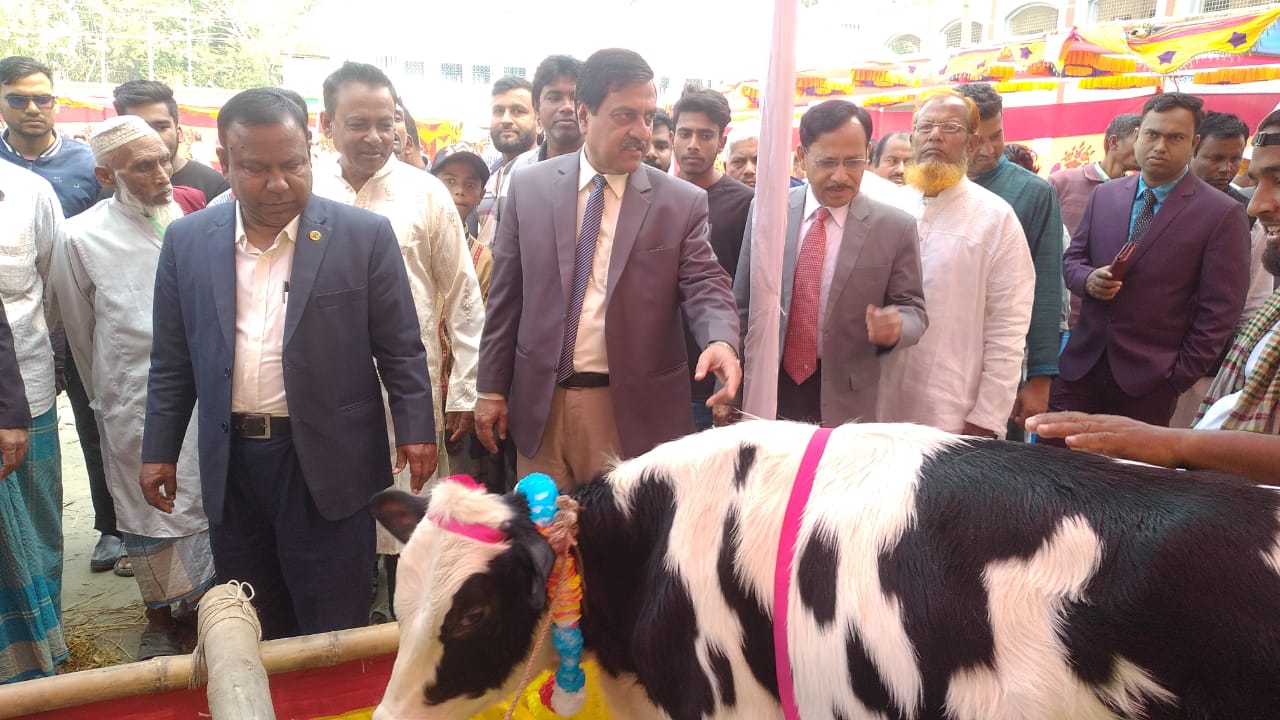 মুকসুদপুরে এ্যানিমাল জেনেটিক্স সিমেনের গবাদি পশুর মেলা