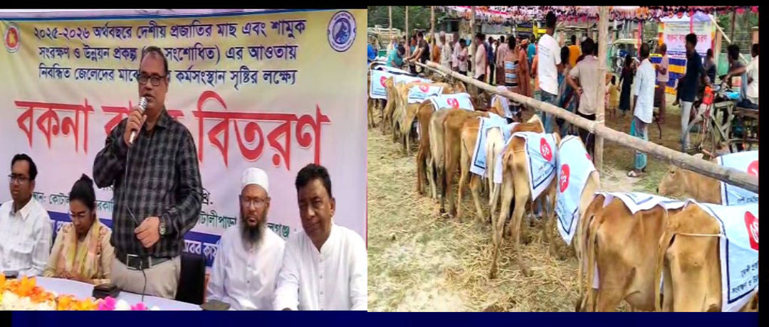 কোটালীপাড়ায় মৎস্যজীবীরা পেল বকনা বাছুর