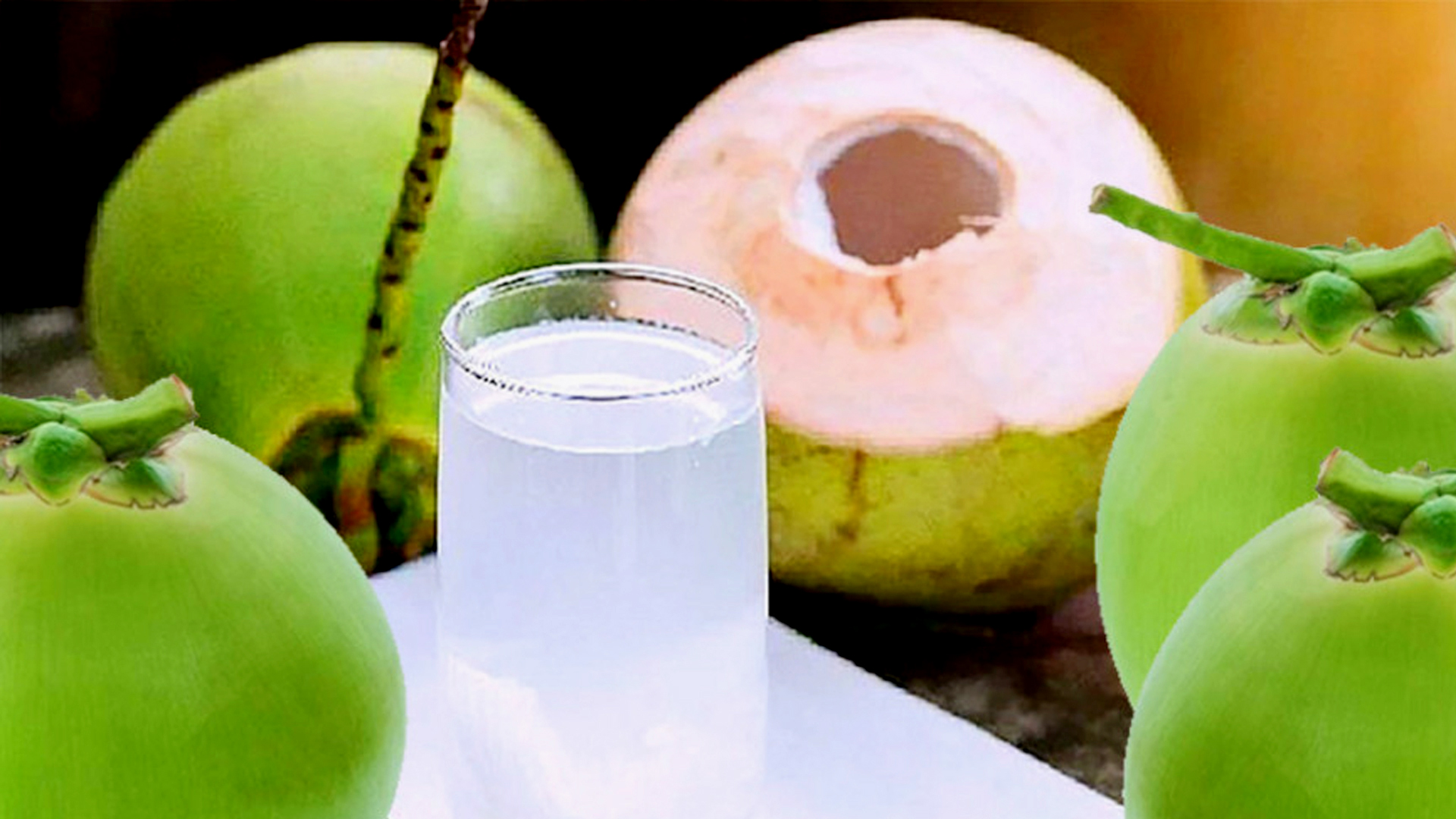 মানব দেহের জন্য ডাবের পানি কেন দরকার? কী আছে এই প্রাকৃতিক পানীয়ে