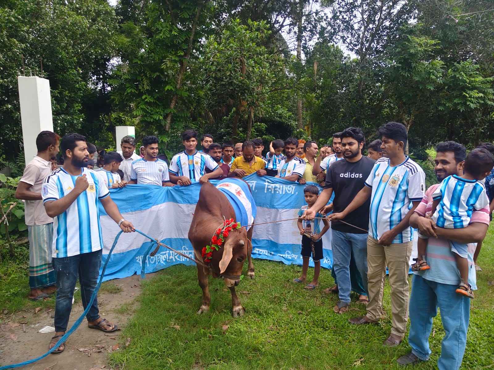 কোটালীপাড়ায় আর্জেন্টিনার ফাইনাল ঘিরে গরু জবাই করে ভূরিভোজের আয়োজন